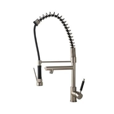 Kitchen Faucet with Filter Water Spout